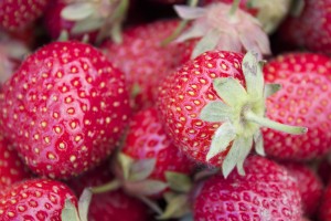 strawberriesIMG_8598