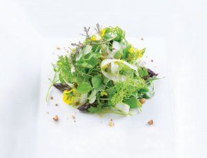 shaved asparagus salad